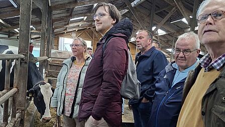Foto van mensen in een koeienstal.