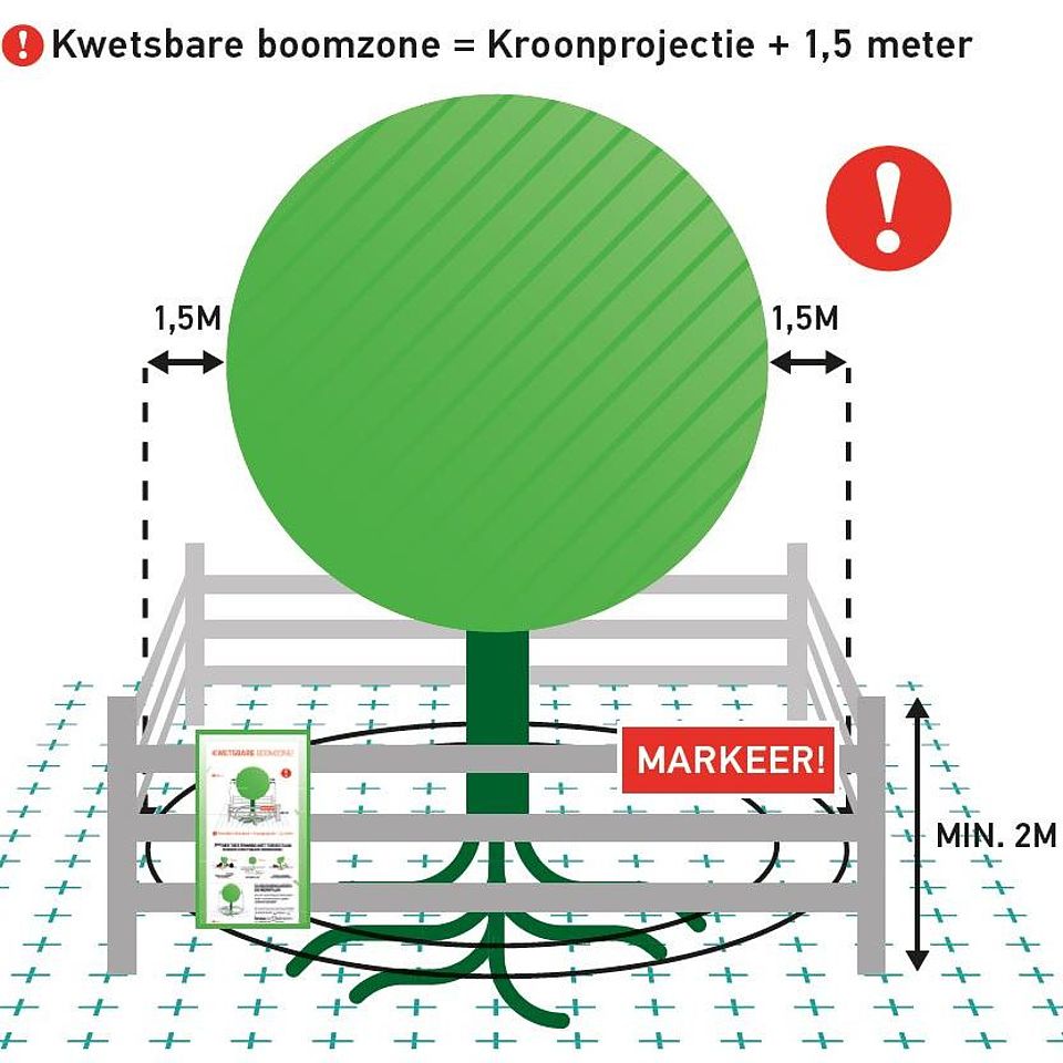 kwetsbare boomzone = kroonprojectie + 1,5 meter. 